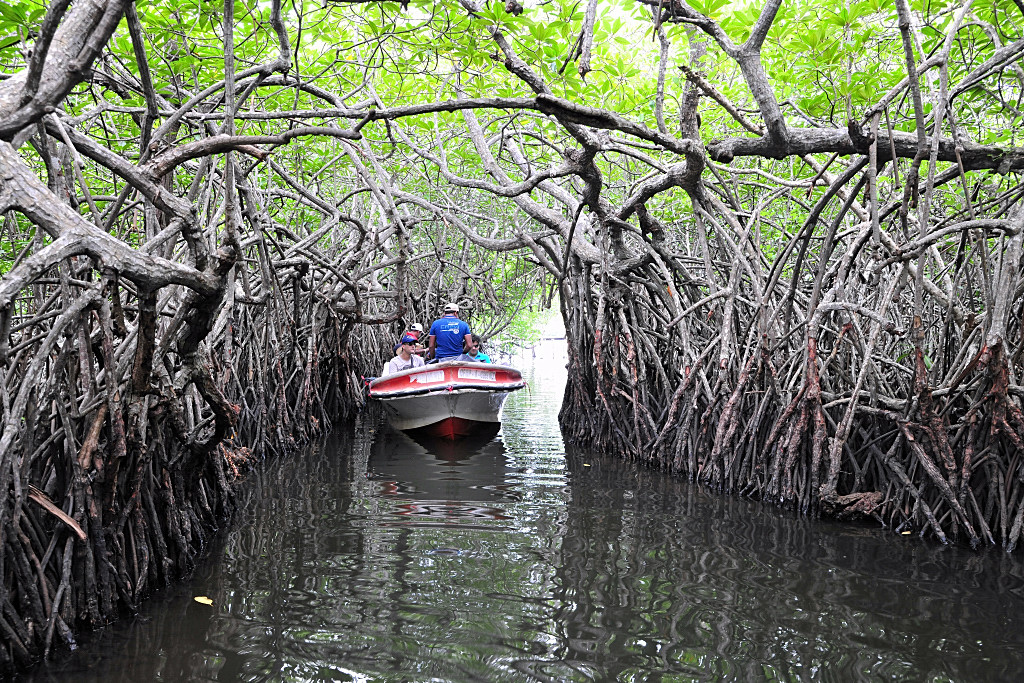 Madu Ganga River Safari